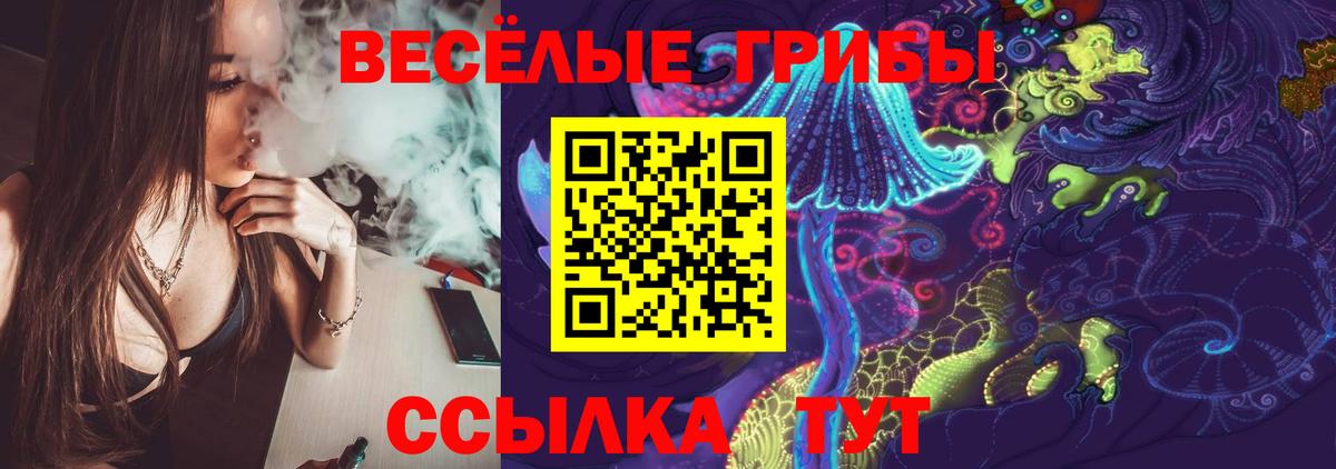 Псилоцибиновые грибы мухоморы Тулун